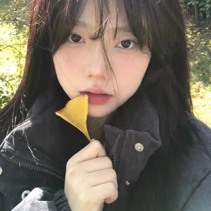 大选投票 封面